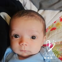 Abel photo 3