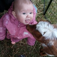 Adeline photo 9