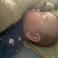 Adeline photo 8