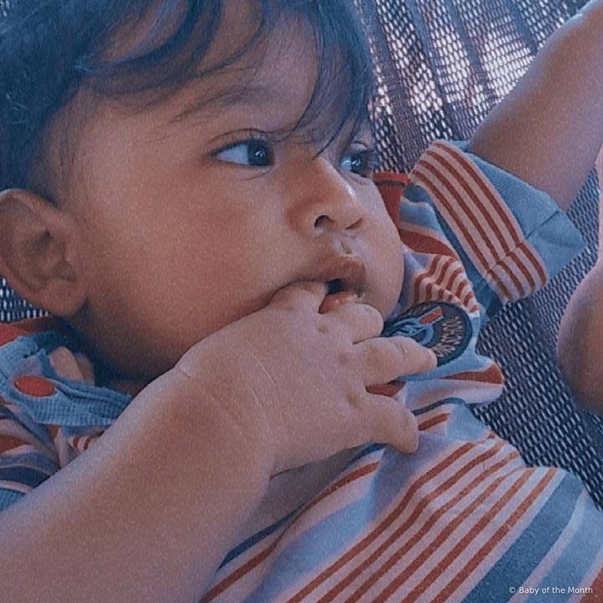 Adrian photo