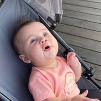 Alaya photo 7