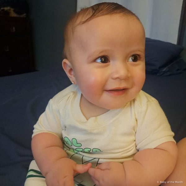 Alexander - Contest Entry Photo