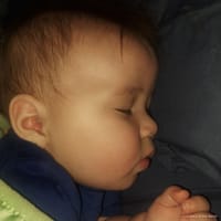 Alexander photo 4