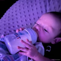 Alexaviar photo 5