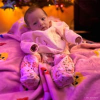 Amelia photo 4