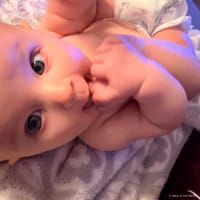 Amelia photo 5