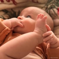 Amelia photo 6