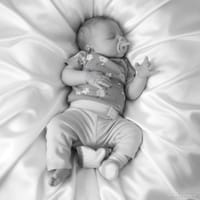 Amelia photo 6