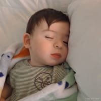 Andrew photo 8