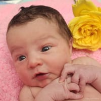 Ansley photo 9