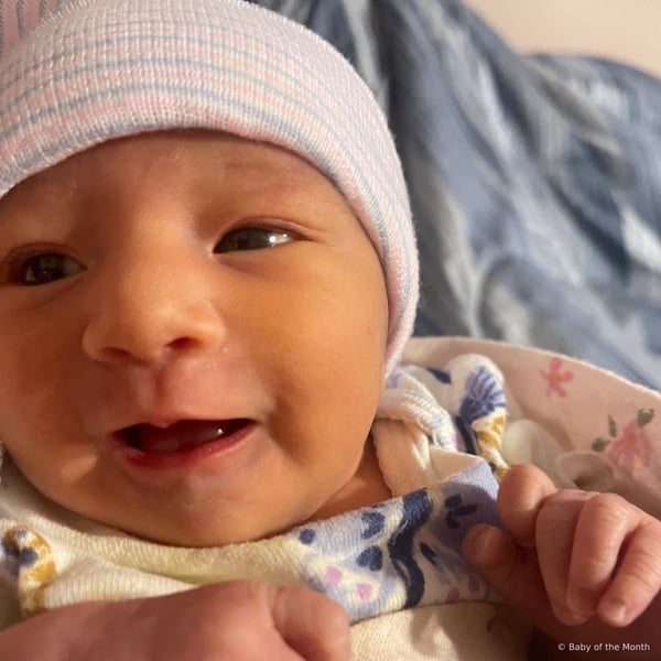 Aribella - Contest Entry Photo