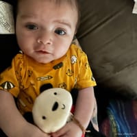 Atlas photo 7