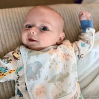 Atlas photo 7