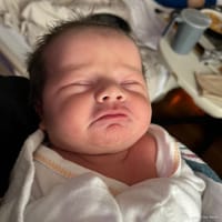 Aubrey photo 4