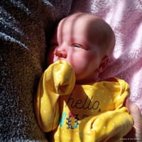 Aurelia photo 4
