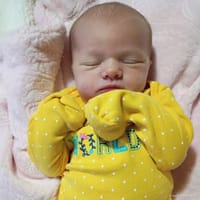 Aurelia photo 5