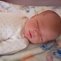 Aurelia photo 6