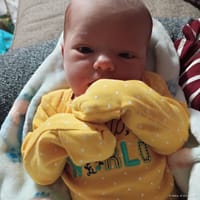 Aurelia photo 10