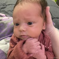 Avalyn photo 4