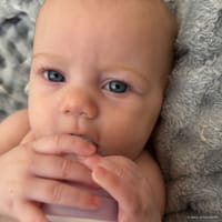 Averiegh photo 6