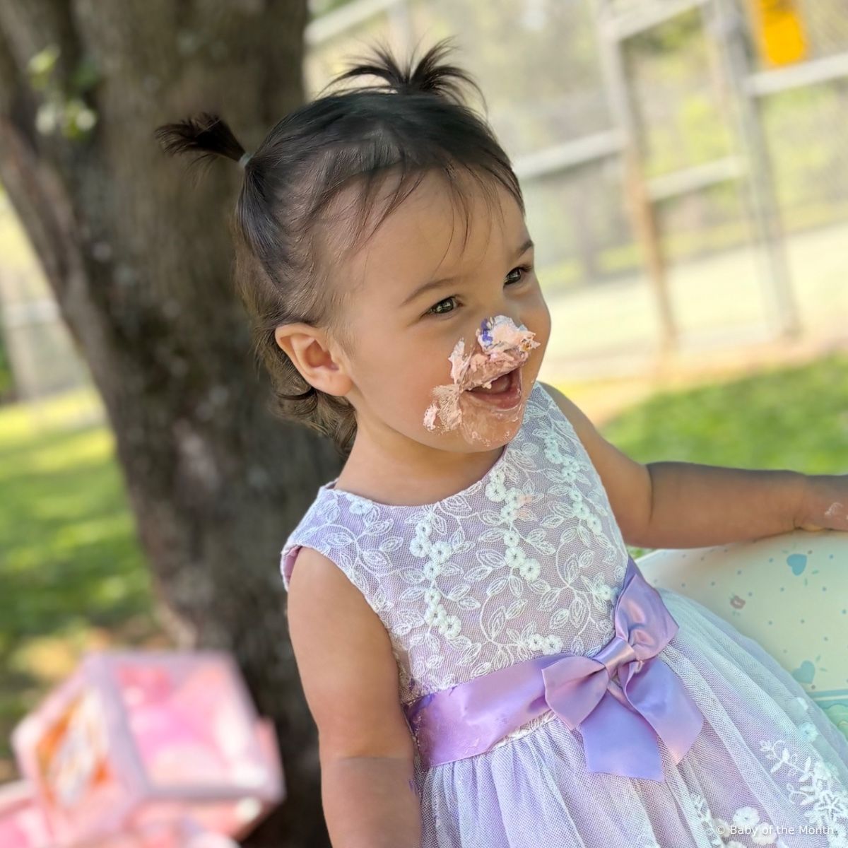 Ayla photo