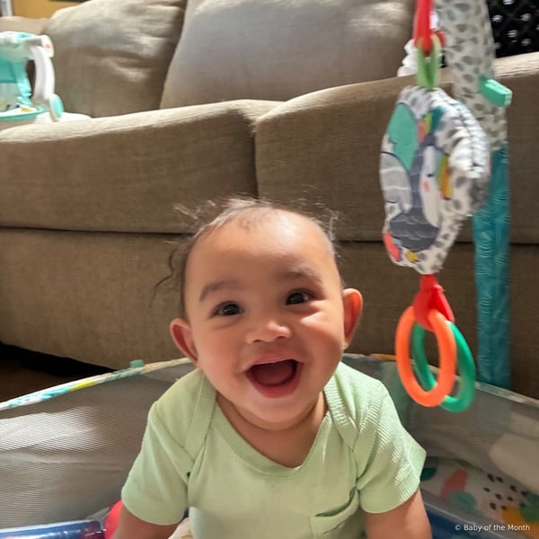 Azein - Contest Entry Photo