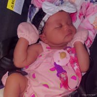 Azora photo 2
