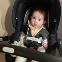 Amira photo 9
