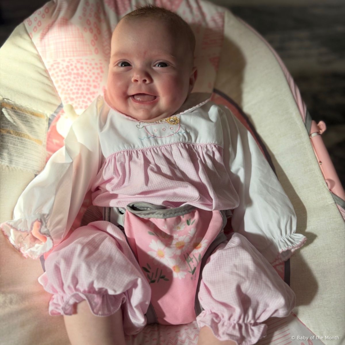 Jojo and Roe photo 2