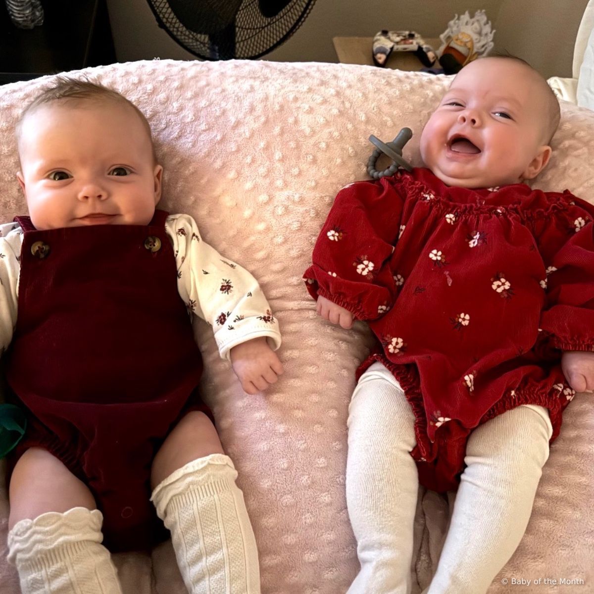 Jojo and Roe - Contest Entry Photo