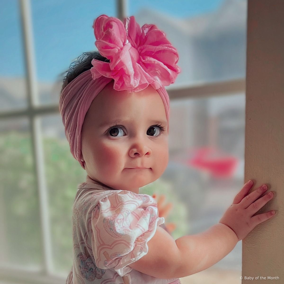 Aspen - 3rd place winner in Toddler division with 1229 votes