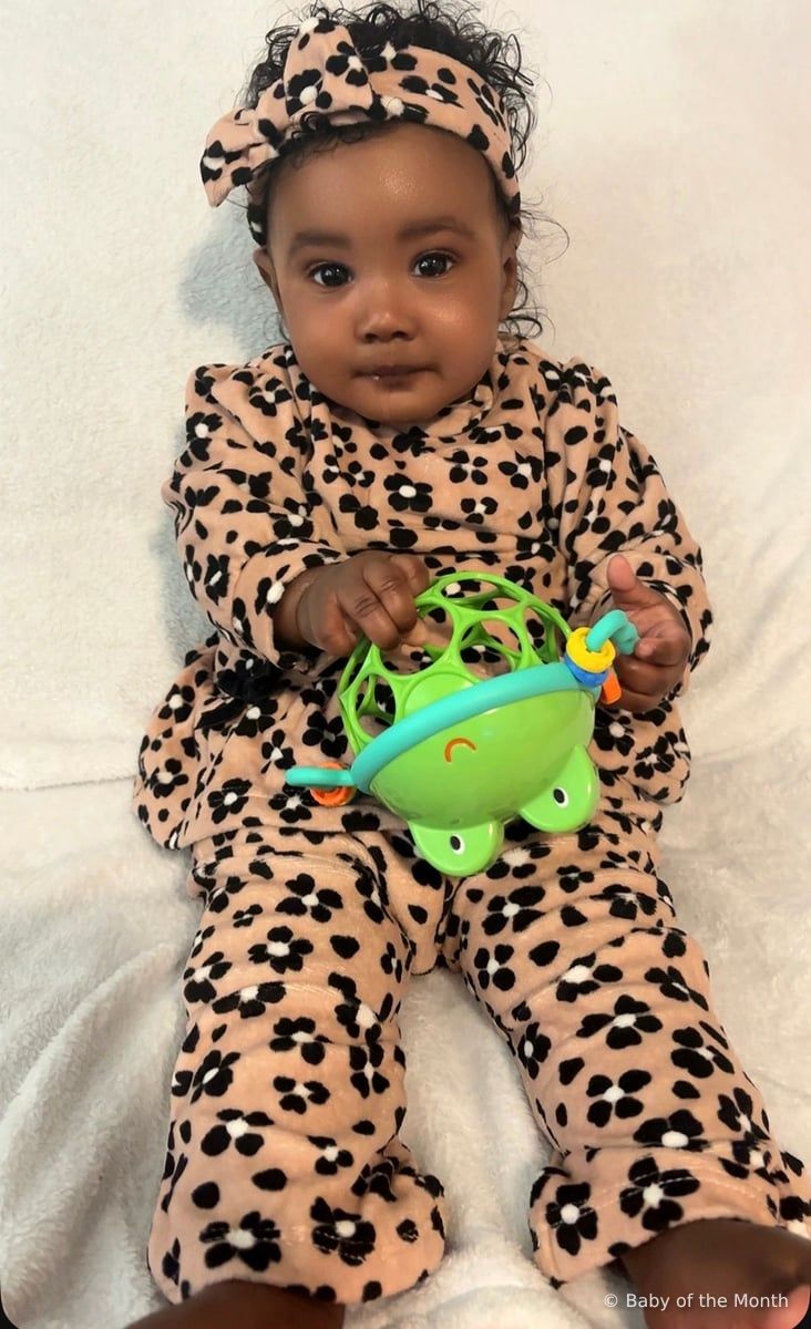 Halo - currently leading in Newborn division with 5406 votes