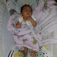 Haven photo 7
