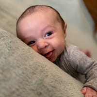 Bryer photo 4