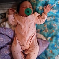 Haven photo 5
