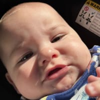 Mason photo 5