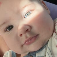 Mason photo 10