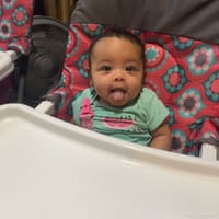 Nova - Contest Entry Photo