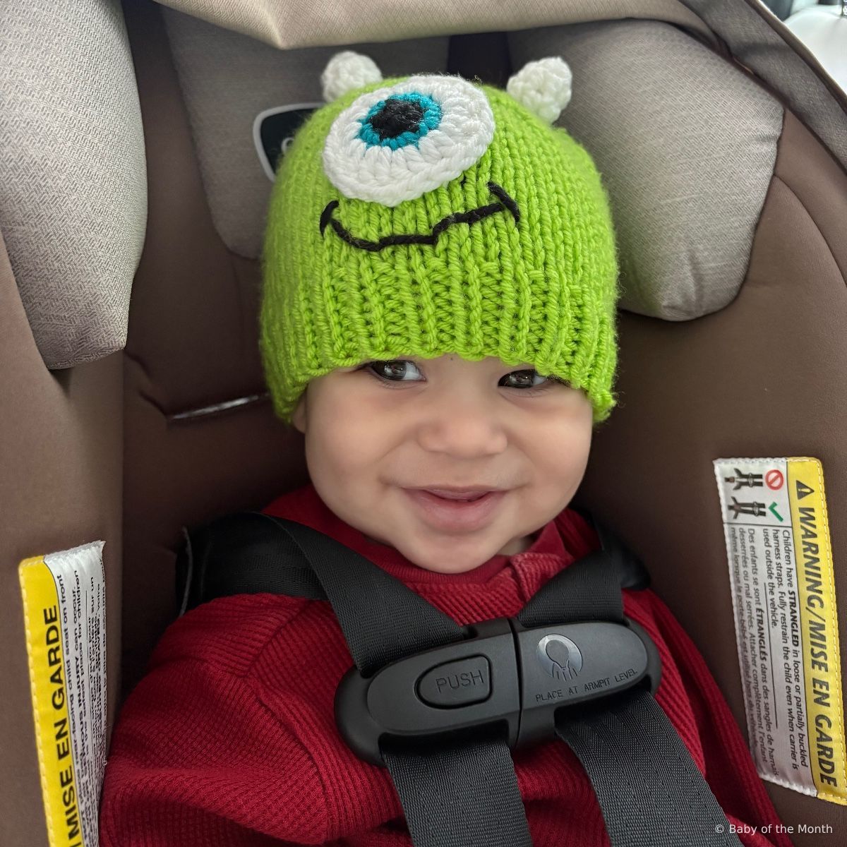 Uriah - currently leading in Infant division with 2934 votes