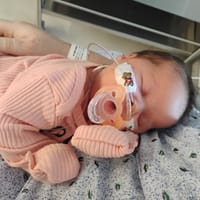 Lila - Contest Entry Photo