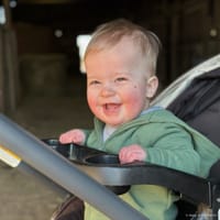 Waylon - Contest Entry Photo