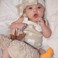 Autumn - Contest Entry Photo