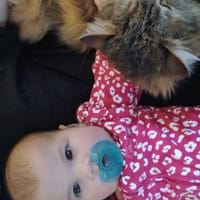 Caroline - Contest Entry Photo