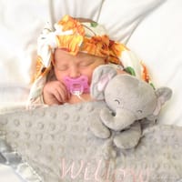 Willow photo 4