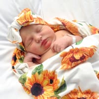 Willow photo 5