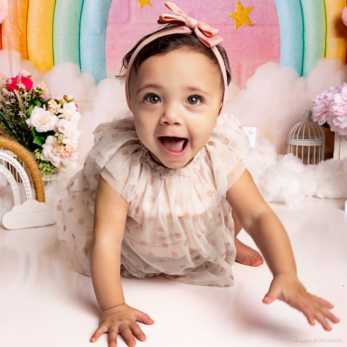 Esther - currently leading in Toddler division with 1038 votes