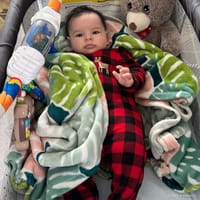 Noah photo 3