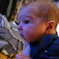 Bodhi photo 6