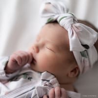 Teddi photo 3
