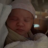 Stori photo 3
